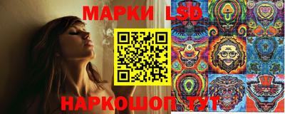прущий лед Будённовск