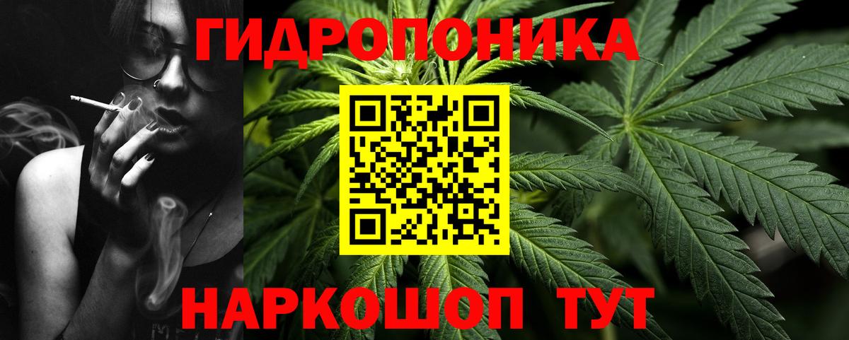 Бошки Шишки Amnesia Щёлково